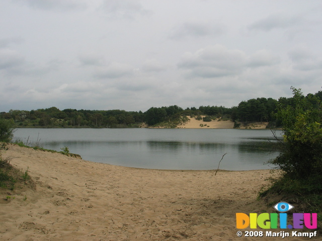 28120 Small lake in Kennemerduinen